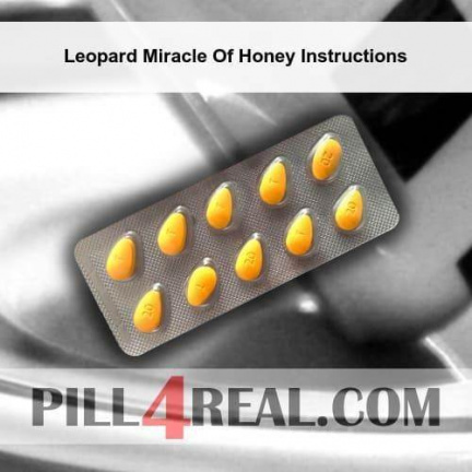 Leopard Miracle Of Honey Instructions 377
