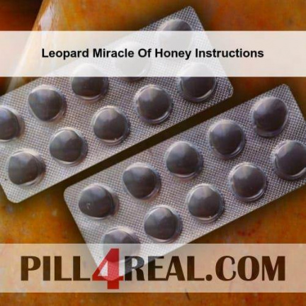 Leopard Miracle Of Honey Instructions 388