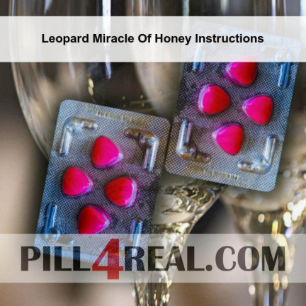 Leopard Miracle Of Honey Instructions 477