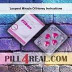 Leopard Miracle Of Honey Instructions 478