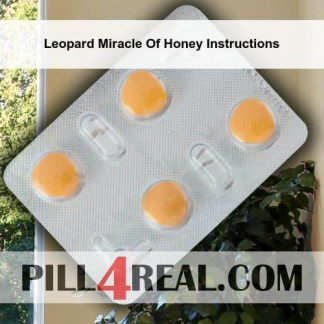 Leopard Miracle Of Honey Instructions 608