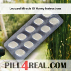 Leopard Miracle Of Honey Instructions 836