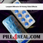 Leopard Miracle Of Honey Side Effects 197