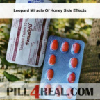 Leopard Miracle Of Honey Side Effects 480