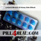 Leopard Miracle Of Honey Side Effects 847