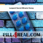 Leopard Secret Miracle Honey 143