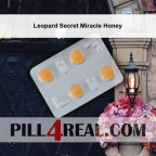 Leopard Secret Miracle Honey 453
