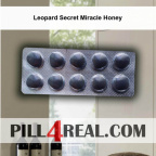 Leopard Secret Miracle Honey 456
