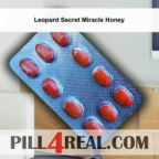 Leopard Secret Miracle Honey 502