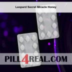Leopard Secret Miracle Honey 589