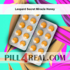 Leopard Secret Miracle Honey 592