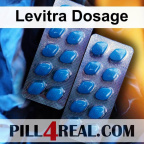 Levitra Dosage 240