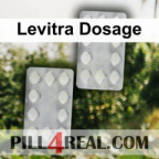 Levitra Dosage 541