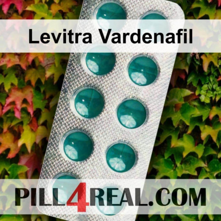 Levitra Vardenafil 479