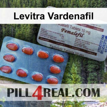 Levitra Vardenafil 487