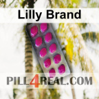 Lilly Brand 039