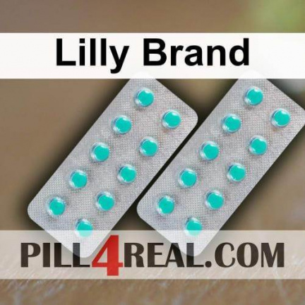 Lilly Brand 082