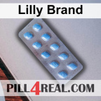 Lilly Brand 211