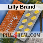 Lilly Brand 343