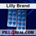 Lilly Brand 358