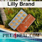 Lilly Brand 464