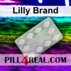 Lilly Brand 513