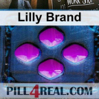 Lilly Brand 521
