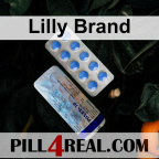 Lilly Brand 571