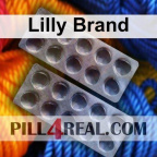 Lilly Brand 873