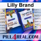 Lilly Brand 885