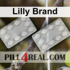 Lilly Brand 932