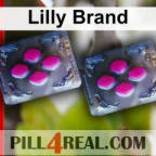 Lilly Brand 986