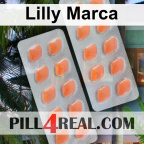 Lilly Marca 279