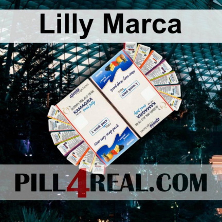 Lilly Marca 429