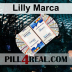 Lilly Marca 429