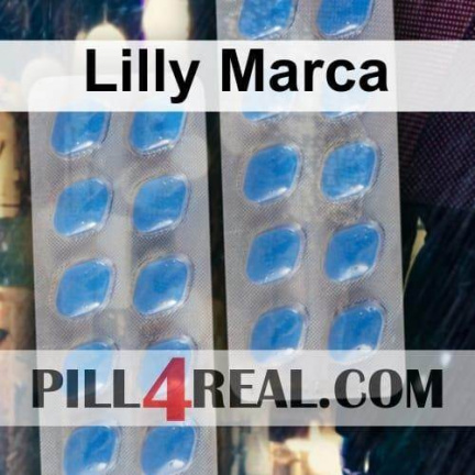 Lilly Marca 500