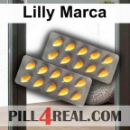 Lilly Marca 637