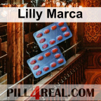 Lilly Marca 667