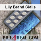 Lily Brand Cialis 233