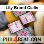 Lily Brand Cialis 244