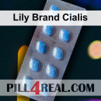 Lily Brand Cialis 488