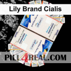 Lily Brand Cialis 508