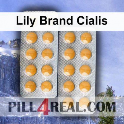Lily Brand Cialis 804