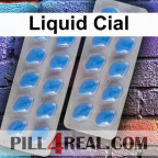 Liquid Cial 646
