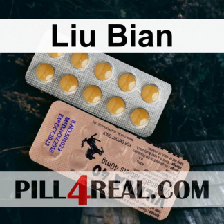 Liu Bian 044