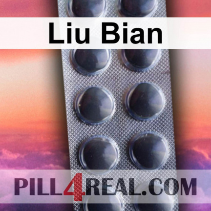 Liu Bian 072