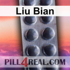 Liu Bian 072