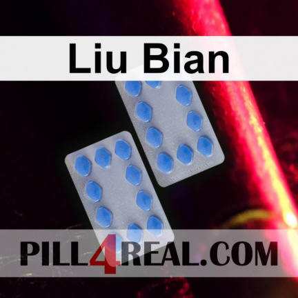 Liu Bian 096