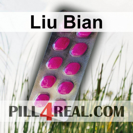 Liu Bian 173