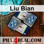 Liu Bian 202